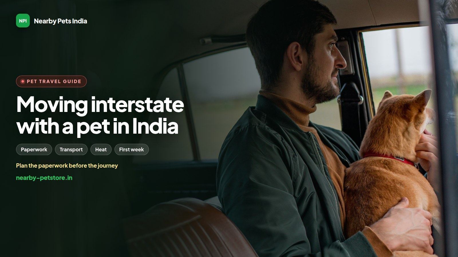 Moving interstate with a pet in India: paperwork, transport and the first week