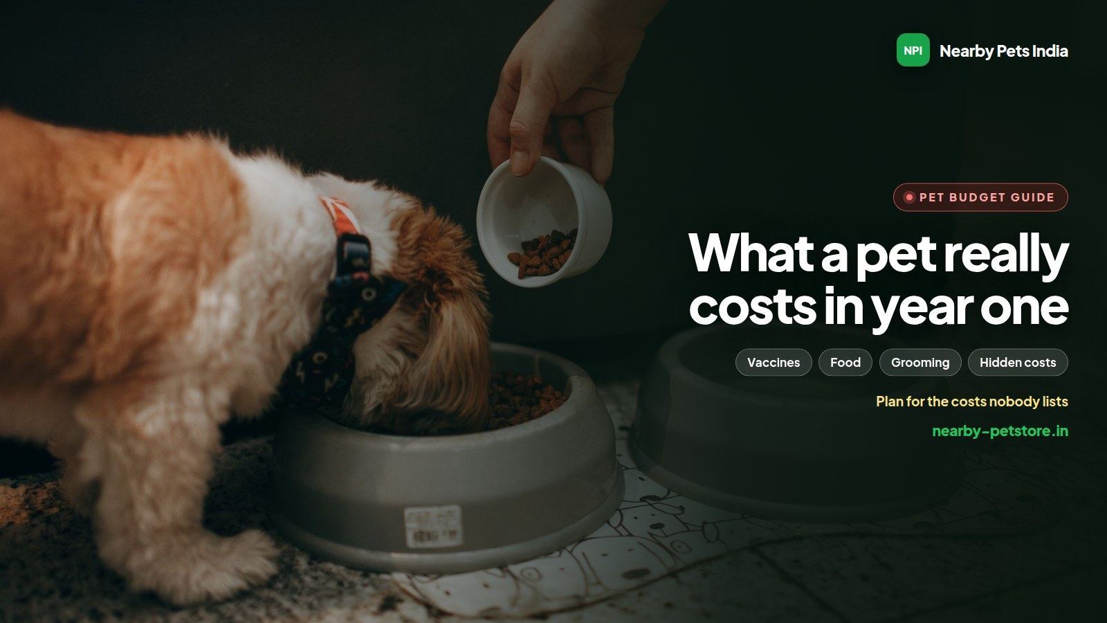 What a pet really costs in India in the first year