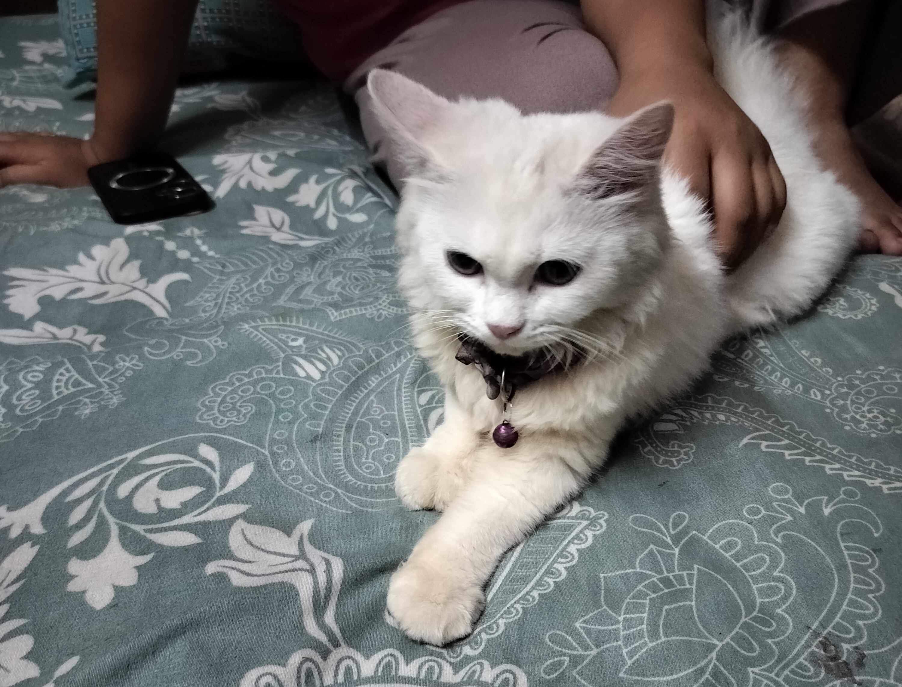 Persian