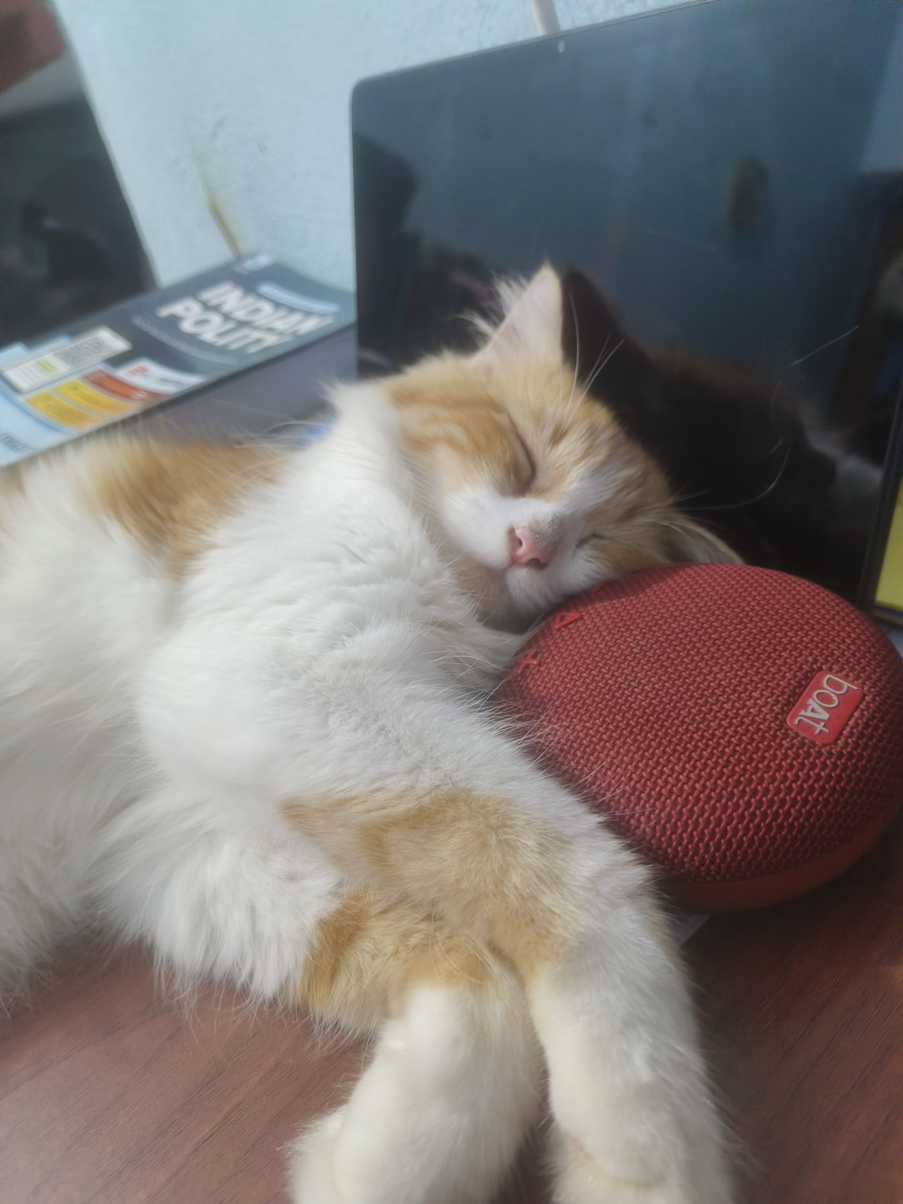 Persian