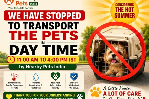 Putting Paws Before Profits: Nearby Pets India Halts Daytime Transport to Beat the Summer Heat