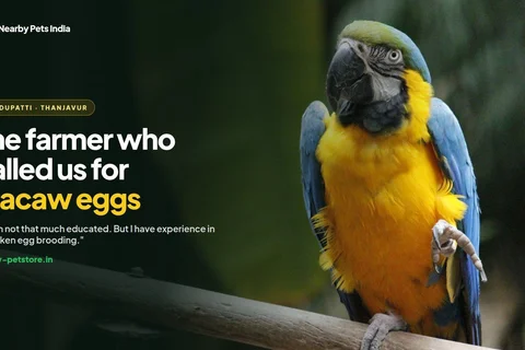 The Farmer from Pudupatti Who Called Us for Macaw and Cockatoo Eggs