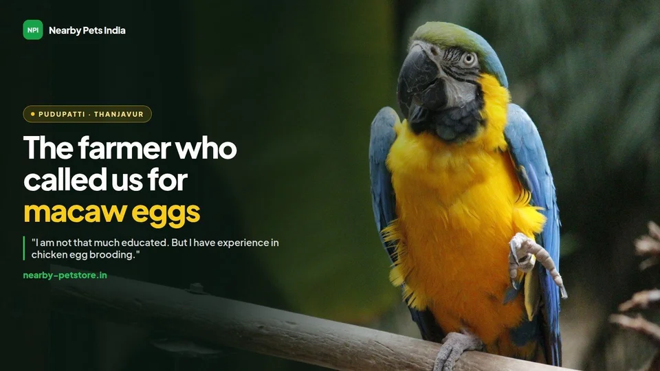 The Farmer from Pudupatti Who Called Us for Macaw and Cockatoo Eggs