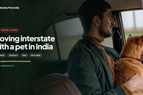 Moving interstate with a pet in India: paperwork, transport and the first week