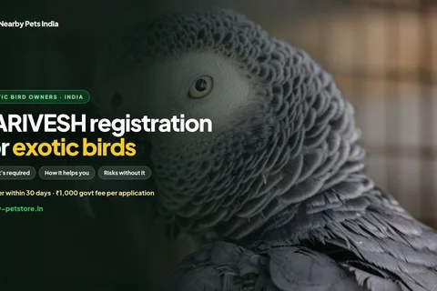 PARIVESH Registration for Exotic Birds in India: Why It Is Required, How It Helps Owners, and the Risks Without It