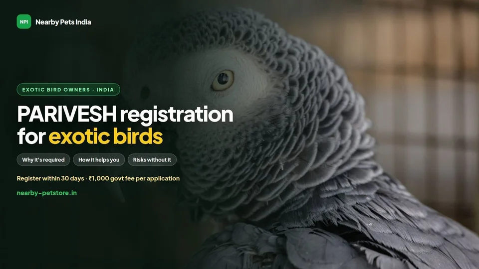 PARIVESH Registration for Exotic Birds in India: Why It Is Required, How It Helps Owners, and the Risks Without It