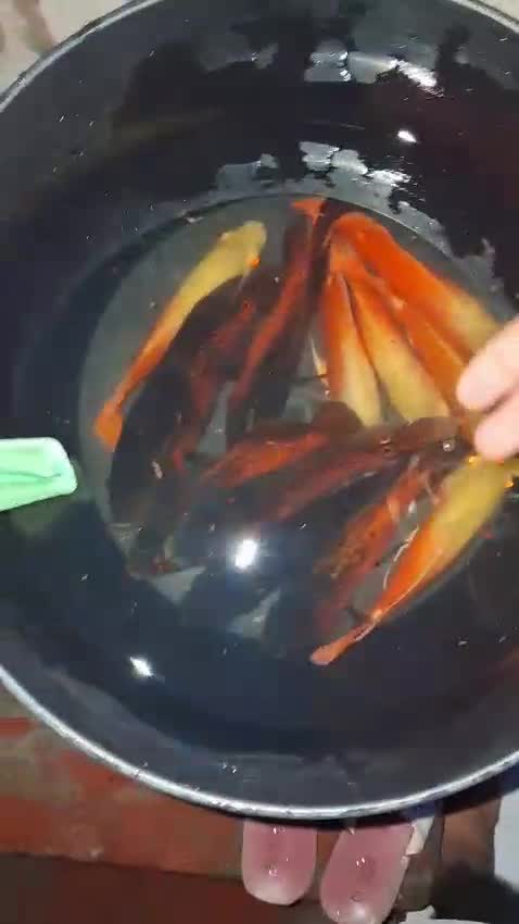 Oscar, farm video