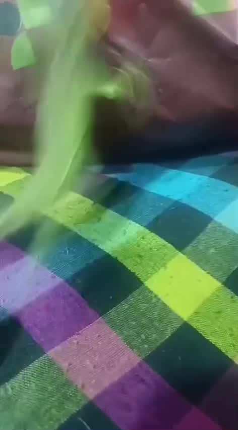 Iguana, farm video