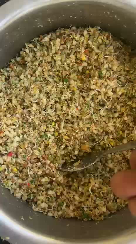 Small Cheek Conure, farm video