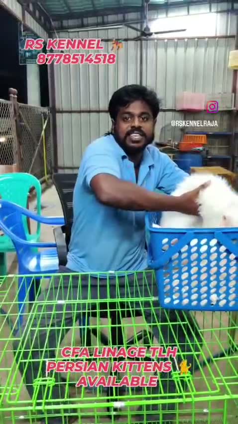 Persian, farm video