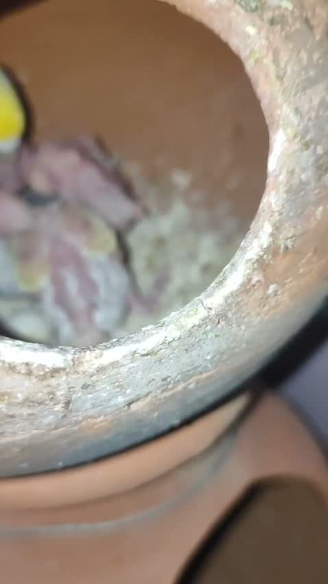 Budgies, farm video