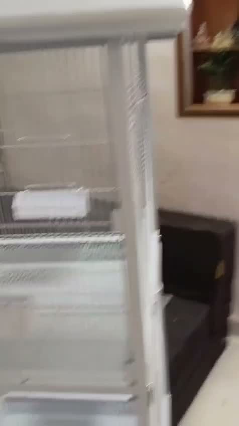 Cockatiel, farm video