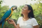 Nearby Blue & Gold Macaw