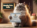 First Vaccination & Fitness Certifcate & Feline Purebred Certficate
